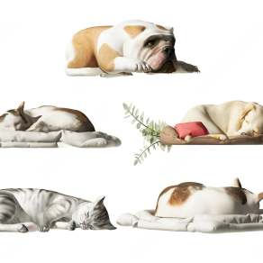 现代猫犬动物3D模型下载